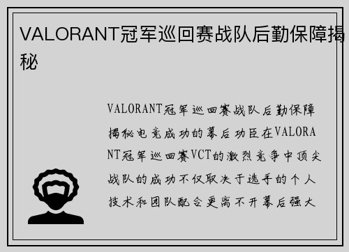 VALORANT冠军巡回赛战队后勤保障揭秘